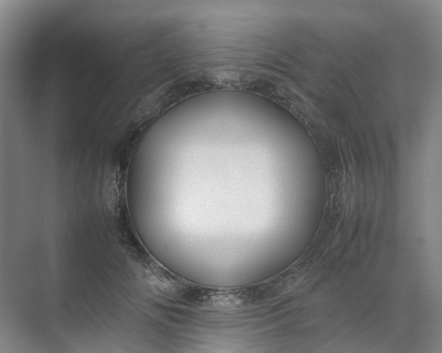 X0000074950702200609152031