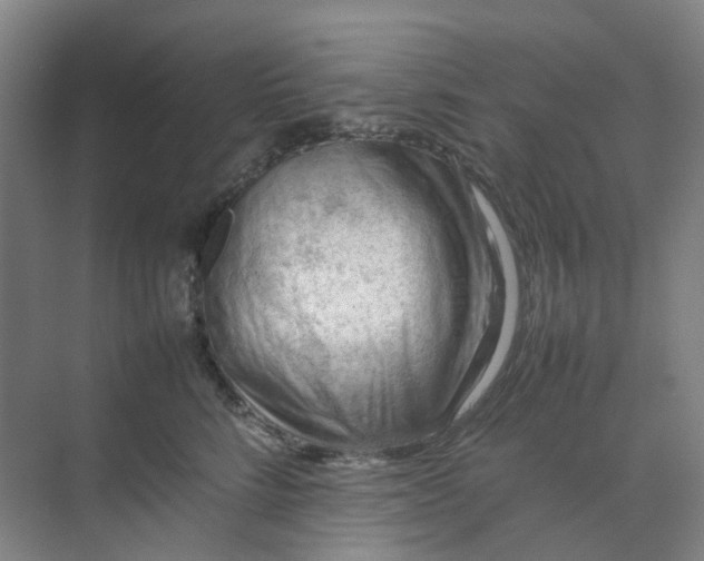 X0000074950712200609152031