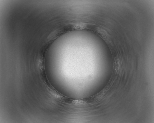 X0000074950714200609152031