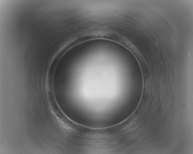 X0000074950722200609152030
