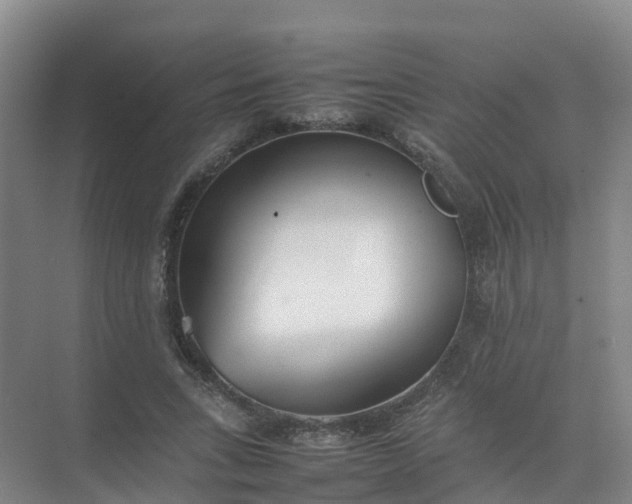 X0000074950735200609152030