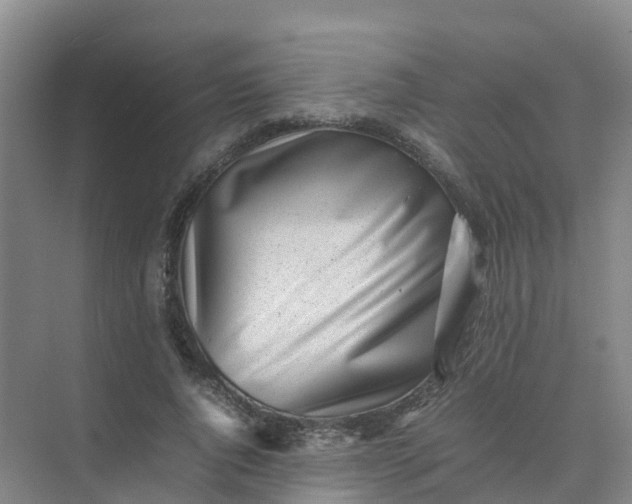 X0000074950736200609152030