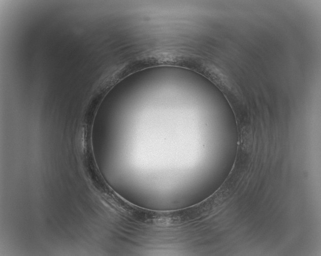 X0000074950740200609152030
