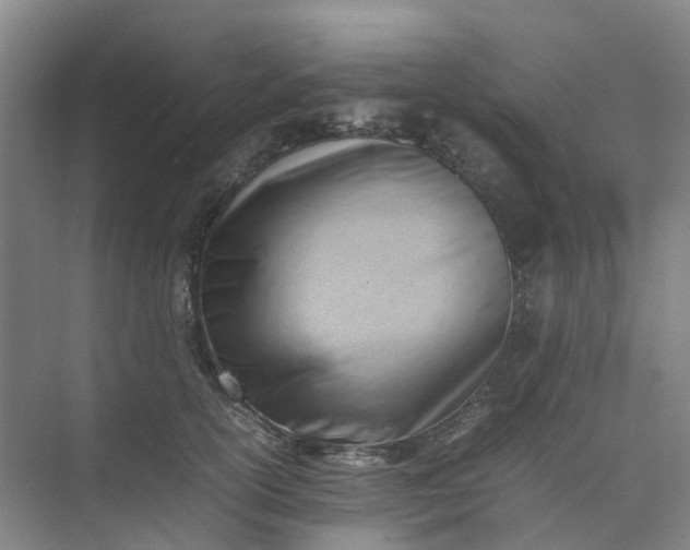 X0000074950754200609152030