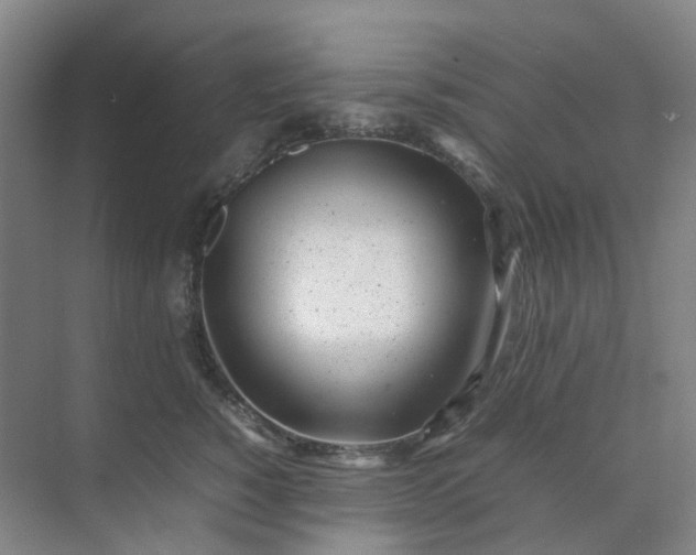 X0000074950760200609152030