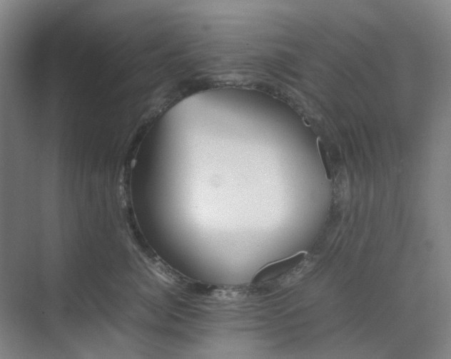 X0000074950764200609152030