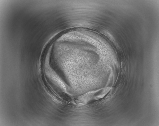 X0000074950780200609152029