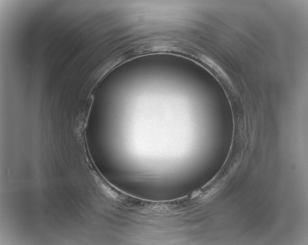 X0000074950801200609152029