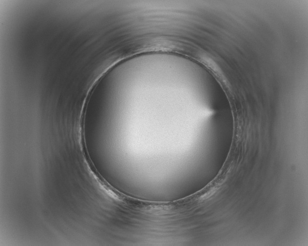 X0000074950802200609152029