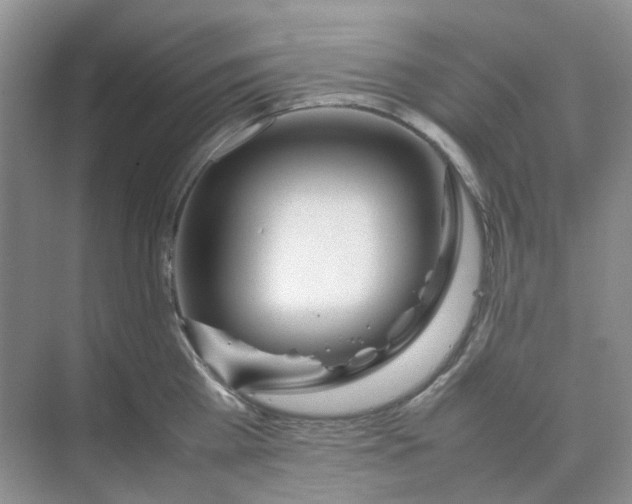 X0000074950809200609152029