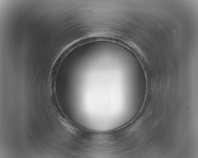 X0000074950830200609152028