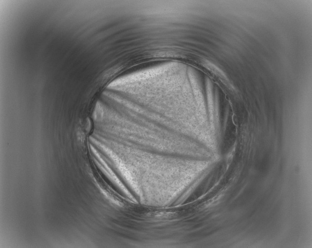X0000074950841200609152028