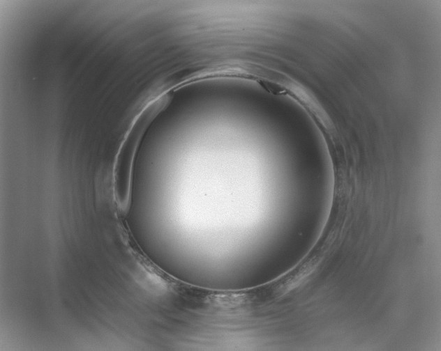 X0000074950858200609152029