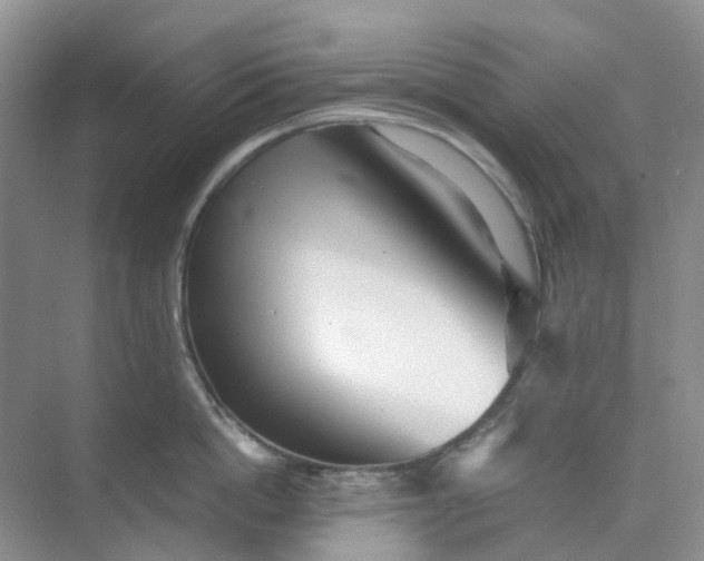X0000074950862200609152029