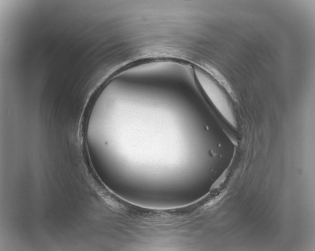 X0000074950885200609152028