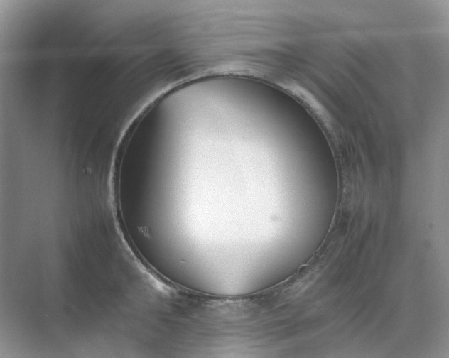X0000074950902200609152027