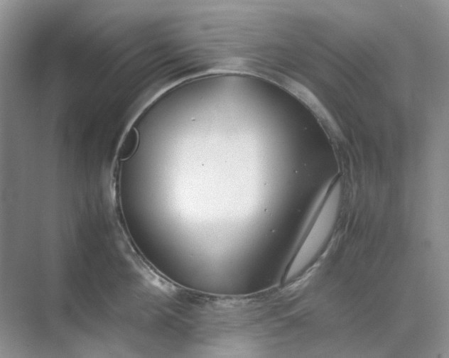X0000074950908200609152027