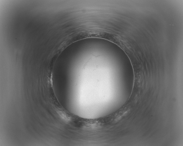 X0000074950916200609152026