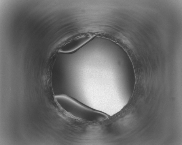 X0000074950920200609152026