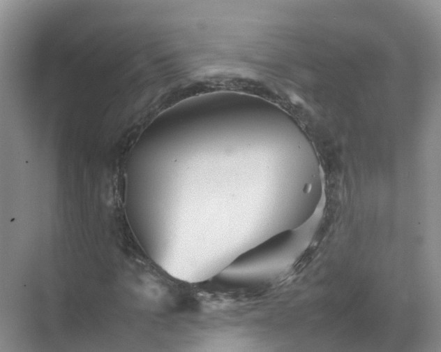 X0000074950965200609152026