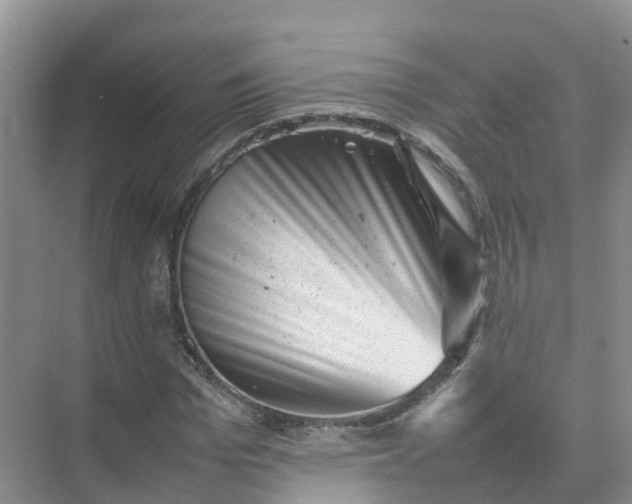X0000074950969200609152026