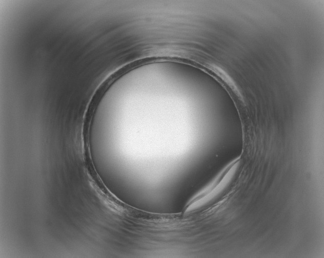 X0000074950980200609152026