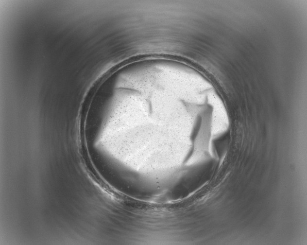 X0000074950982200609152026