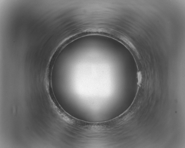 X0000074950984200609152026