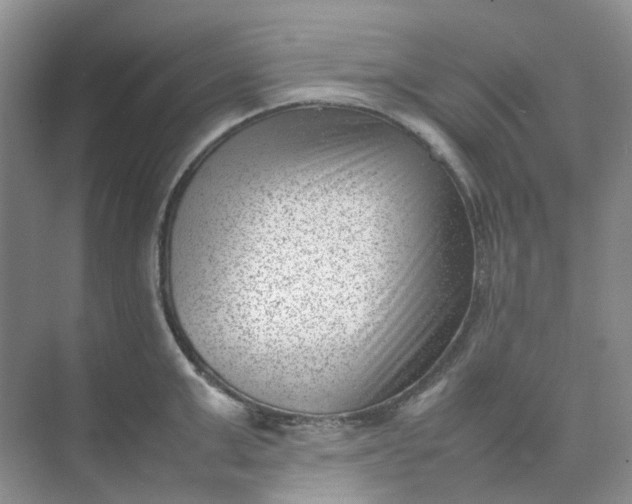X0000074950999200609152026