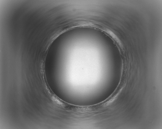X0000074951001200609152026