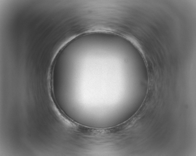 X0000074951003200609152026