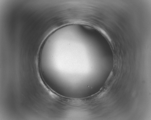 X0000074951007200609152026