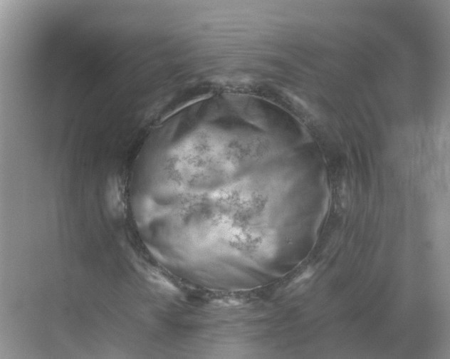 X0000074951010200609152025