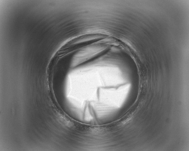 X0000074951022200609152025