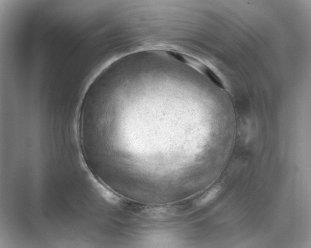 X0000074951054200609152025