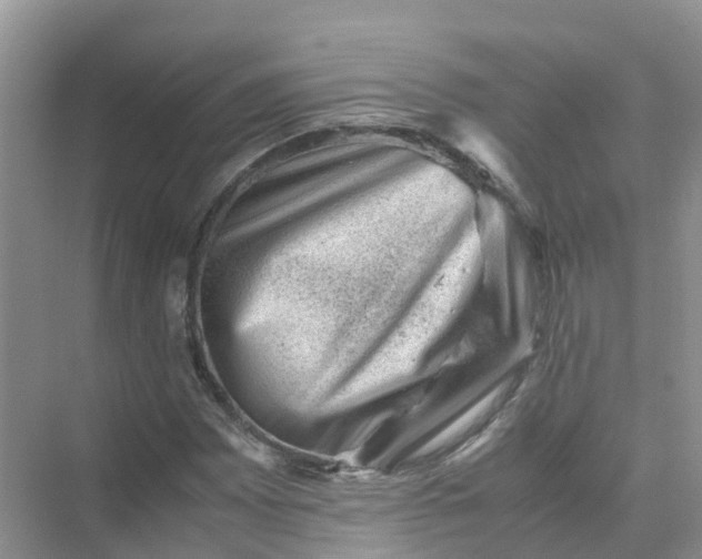 X0000074951065200609152025