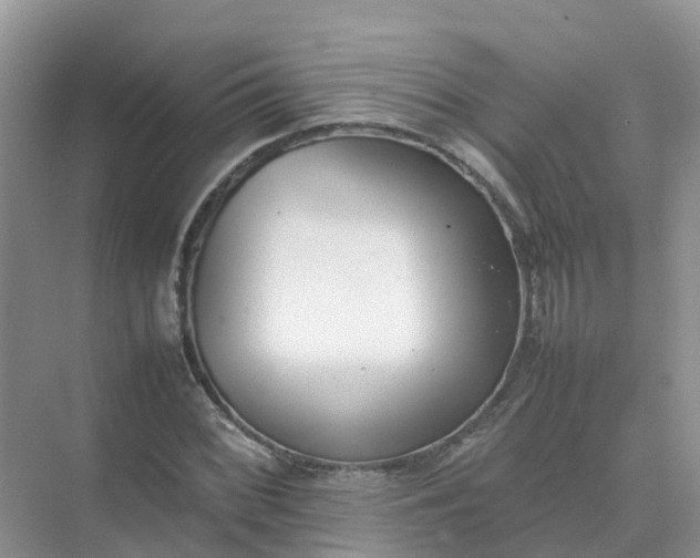 X0000074951068200609152025