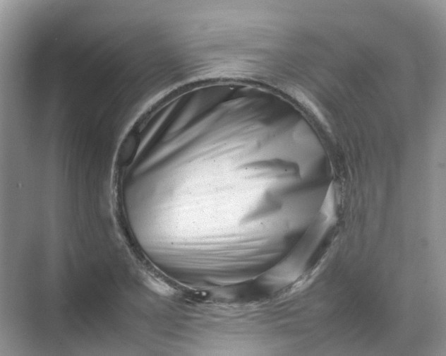 X0000074951077200609152024