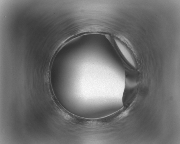 X0000074951081200609152024