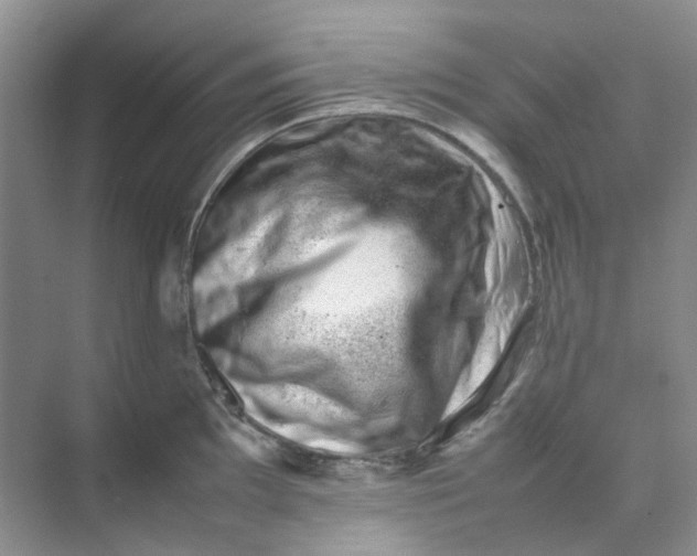 X0000074951097200609152024