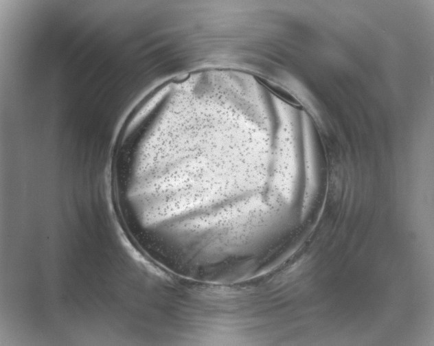 X0000074951100200609152024