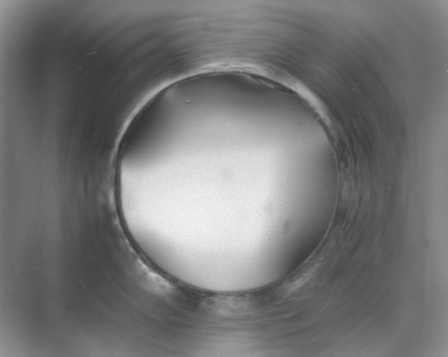 X0000074951102200609152024