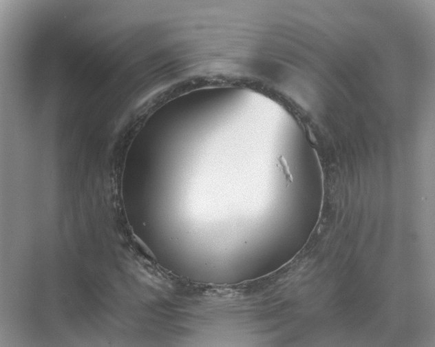 X0000074951112200609152023