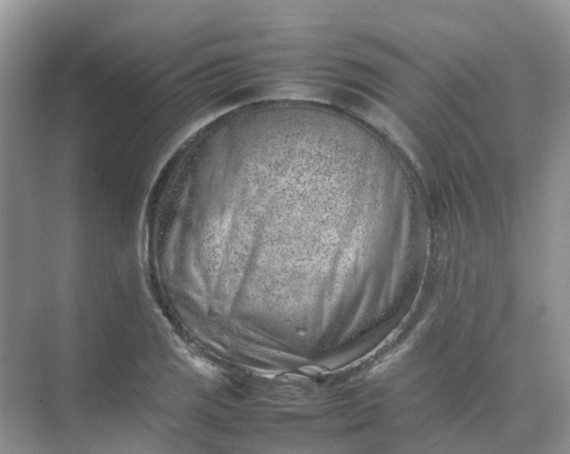 X0000074951125200609152023