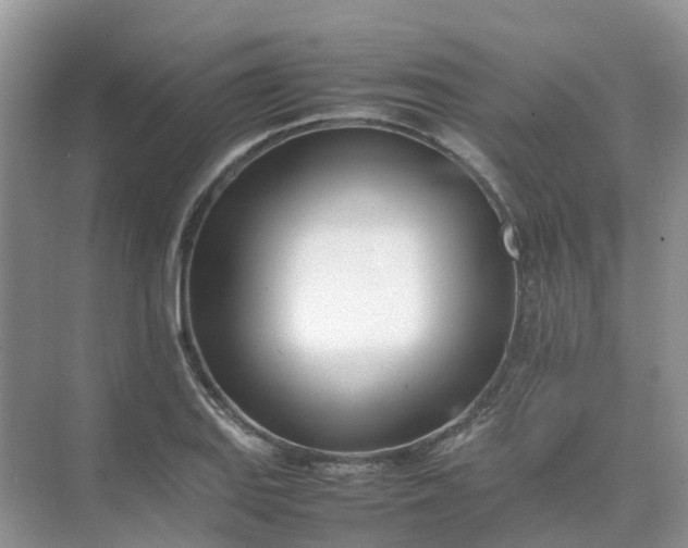 X0000074951127200609152023