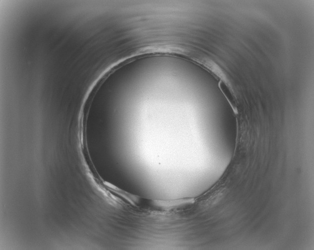 X0000074951132200609152024