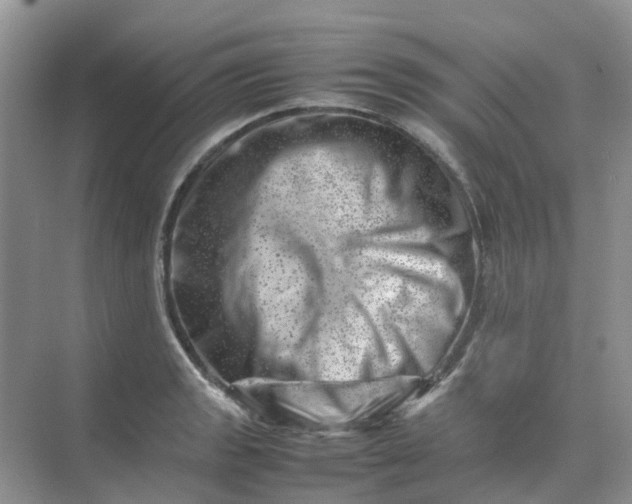 X0000074951133200609152024