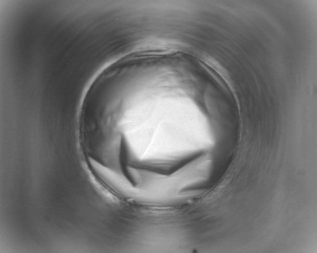 X0000074951152200609152024