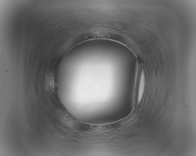 X0000074951155200609152023