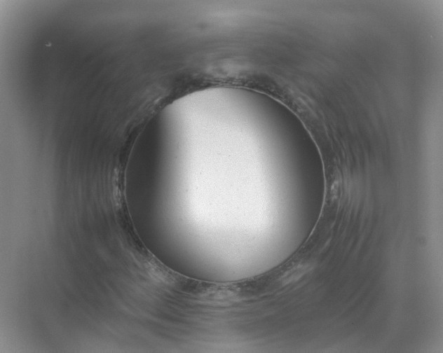 X0000074951156200609152023